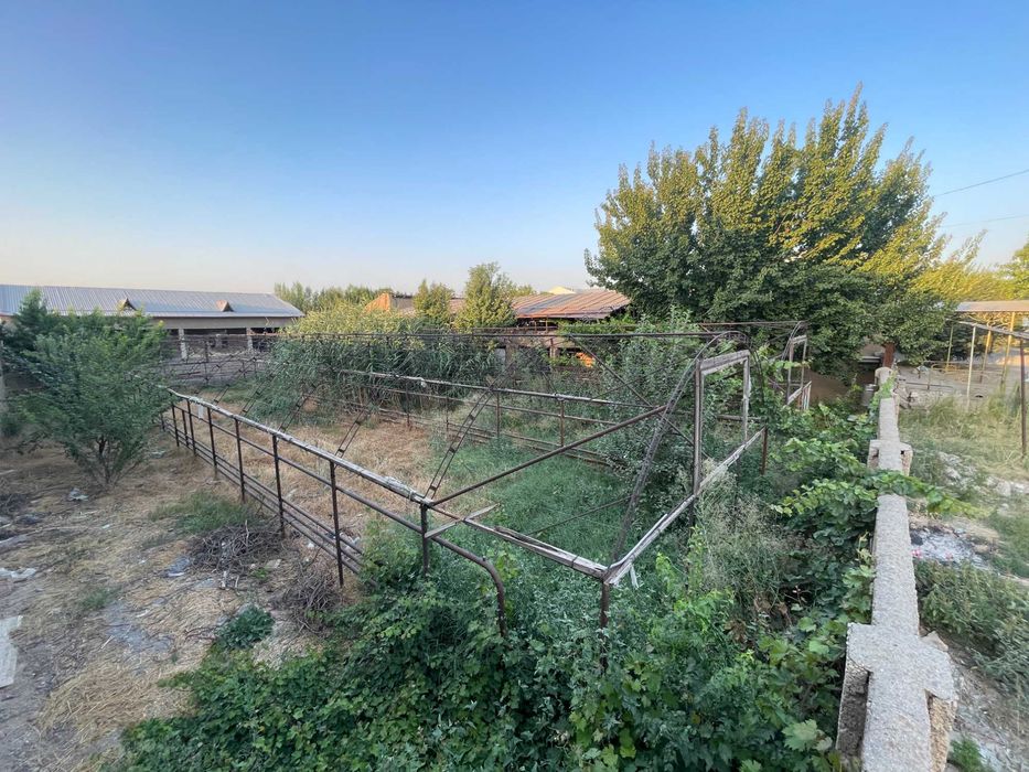 Хасанбой Ер Сотилади 6 сот Xasanboy Yer sotiladi Yangi Mahalla 6 sot