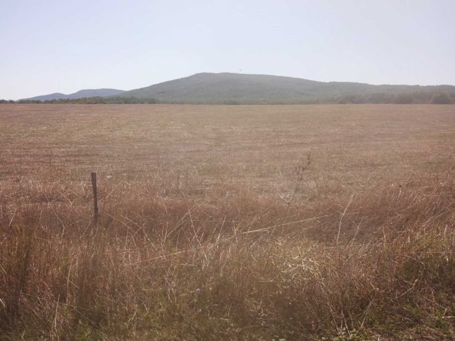 ПАРЦЕЛ ВЪВ ВИЛНА ЗОНА /Нива Кат. V/, Халваджи Дол, Равадиново, Созопол