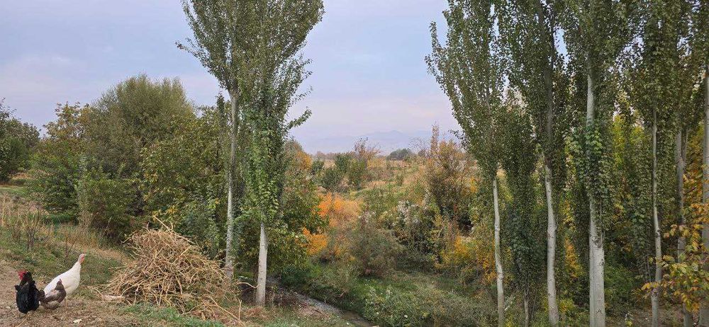 Продам участок 10 соток