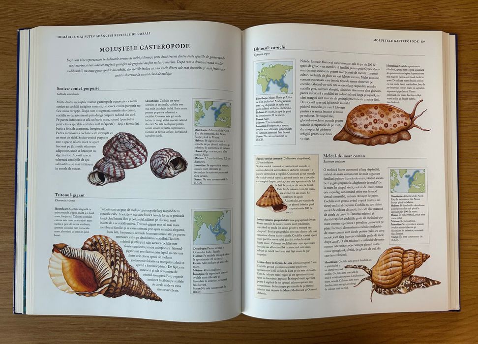 Peștii și creaturile marine – Enciclopedie ilustrată a lumii subacvatice (Editura Aquila)