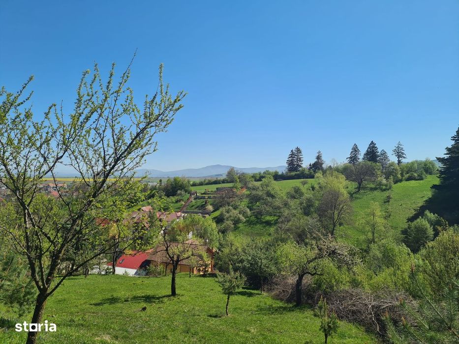 Teren deosebit - 1500 mp, Poiana Angelescu, Str. Livezii