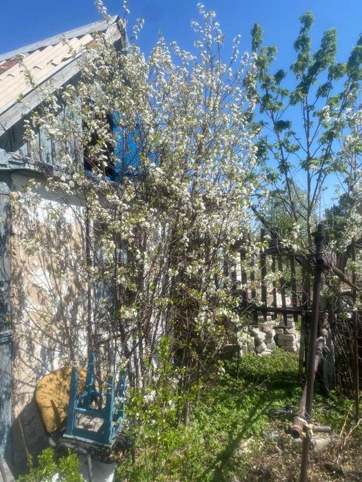 Продаю дачу сад «Здоровье», с урожаем