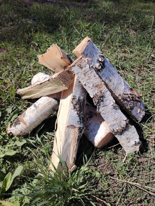 Дрова в мешках 1125