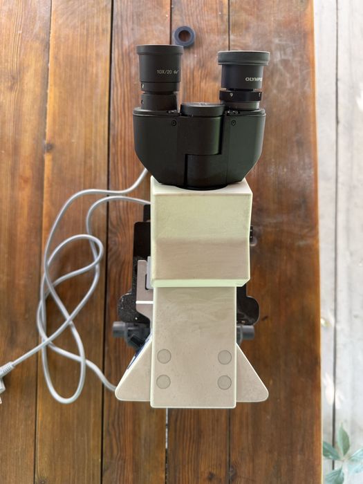 Микроскоп Olympus СХ 31