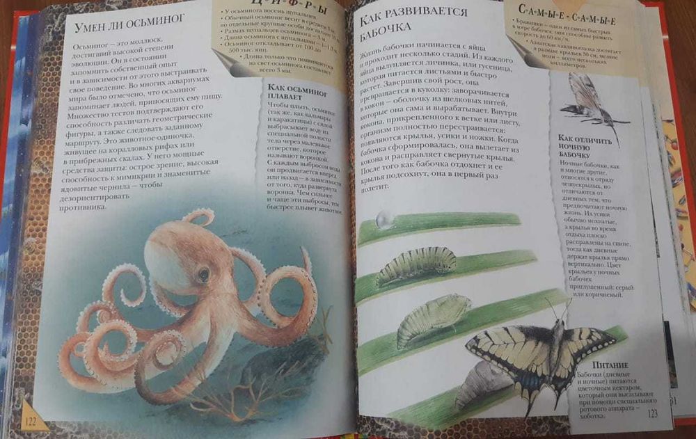 Книга: Большая книга "Почему"