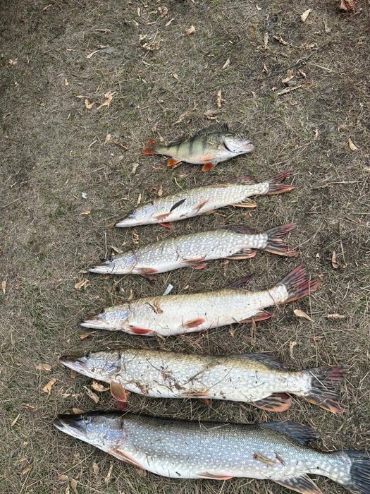 удочка идеальная состояние