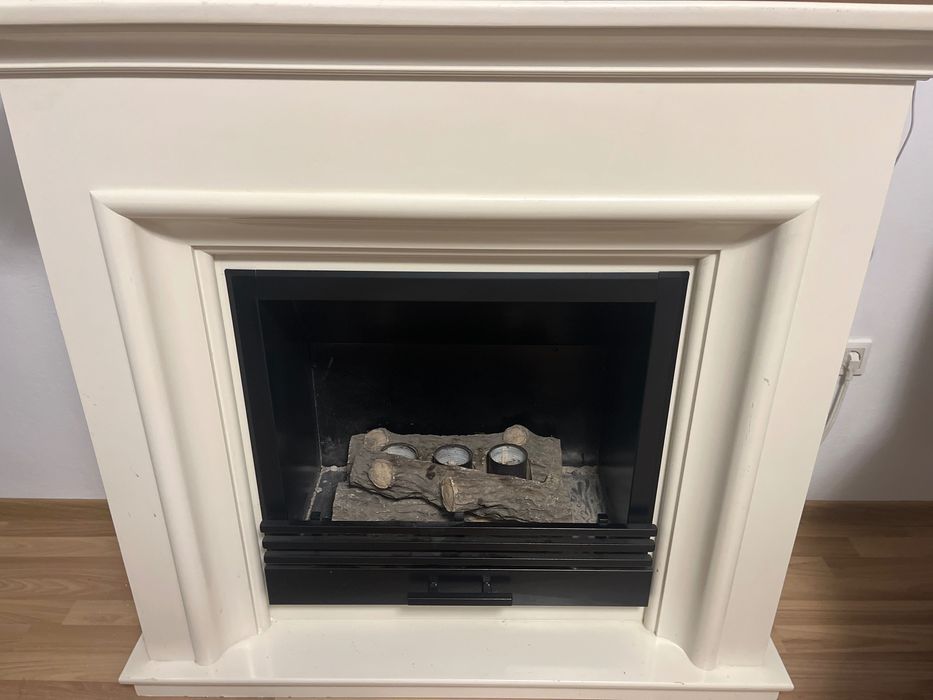 Seminee cu bioetanol