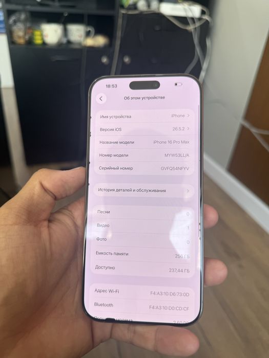 Iphone 16 Pro Max 256gb 92akb e sim