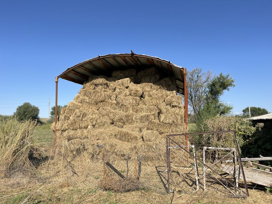 Шөп сатылады еркін