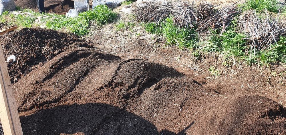 Biogomus. Orginal. Биогомус.