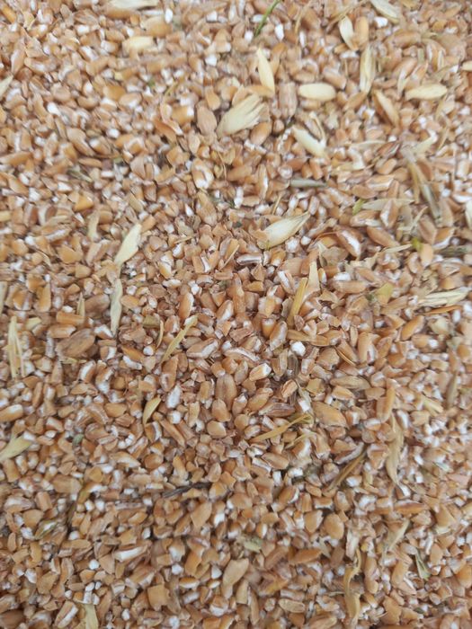 Продам зерноотходы