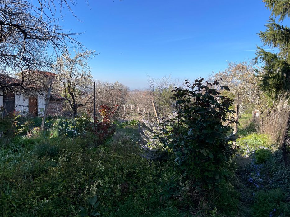 Продава се Къща в с. Белащица, Област Пловдив - 134 кв.м за 1604 €/кв.м - Снимка #8