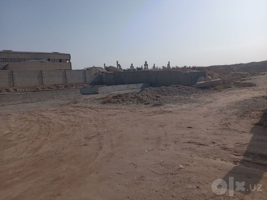 Срочно 500 мерт квадрат падвали бор 35 сутих ери бор жой сотилади
