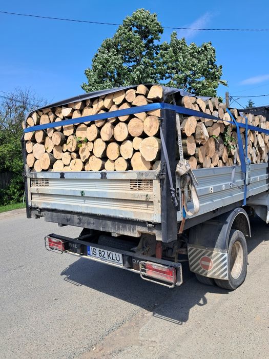 Lemne de foc Barnova