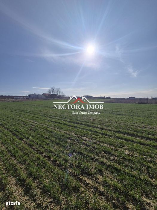 NECTORA IMOB-Teren Intravilan 537 mp, Zona Solay, 250 m de asfalt