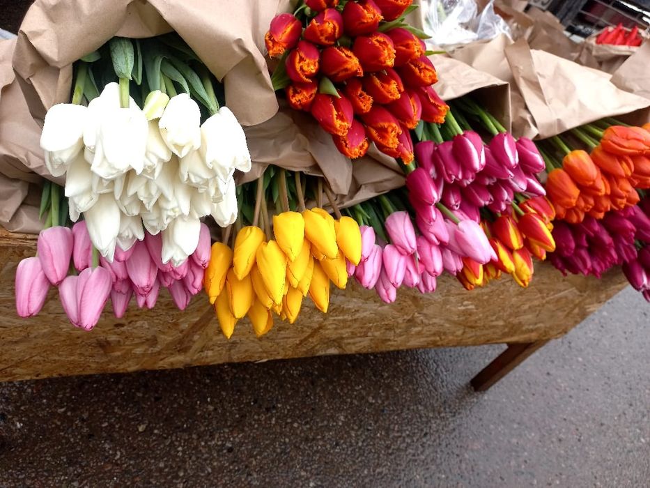 Тюльпаны оптом Алматы