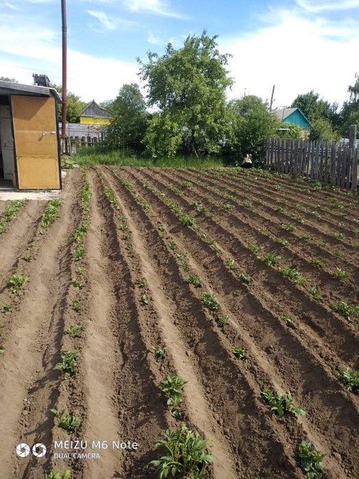 Продаю дачу цветущий сад