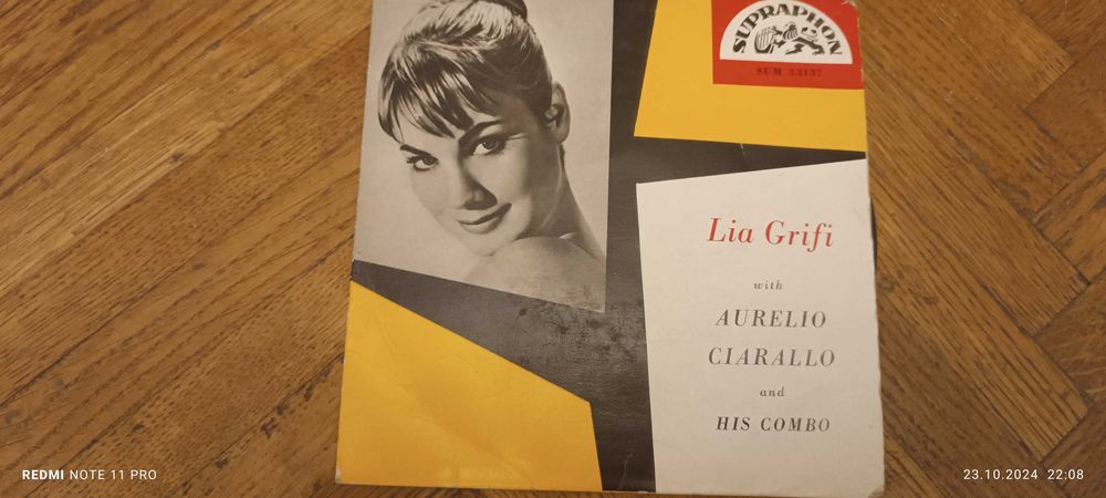 Disc vinyl străine și românești