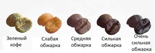 REDCargo Logistics продажа кофе в зернах оптом и в розницу