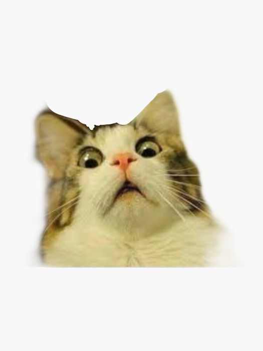 Ищу музыканта гения шучу