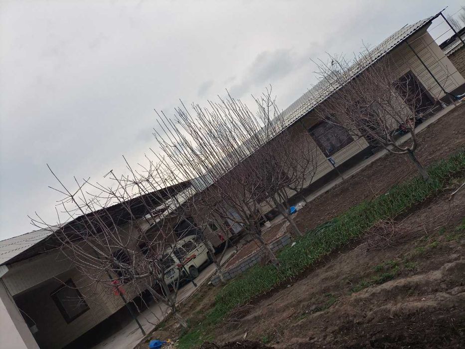 21 sotixli uy sotiladi