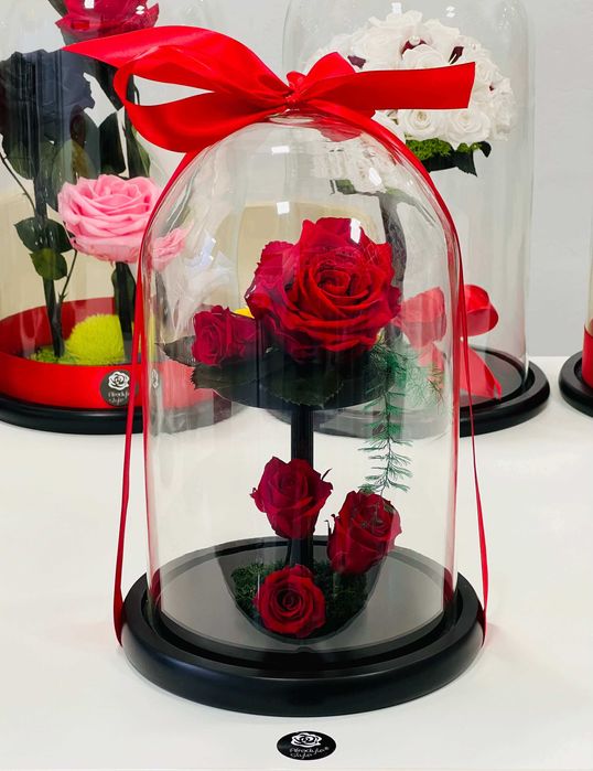 Trandafiri criogenati rosii