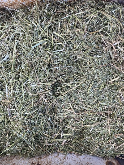 Сено дробленое в мешках