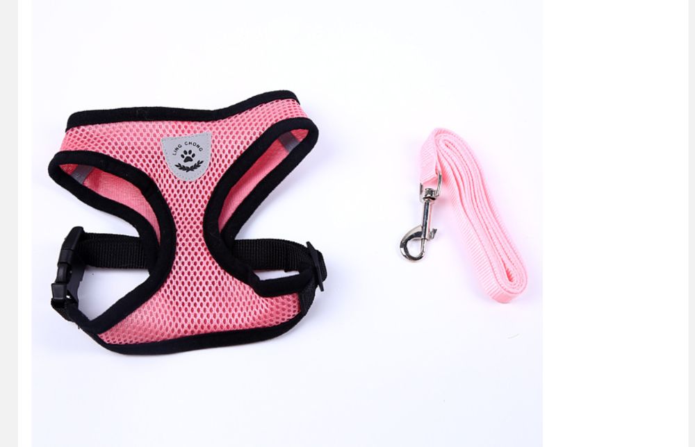 Каишка за малки кучета