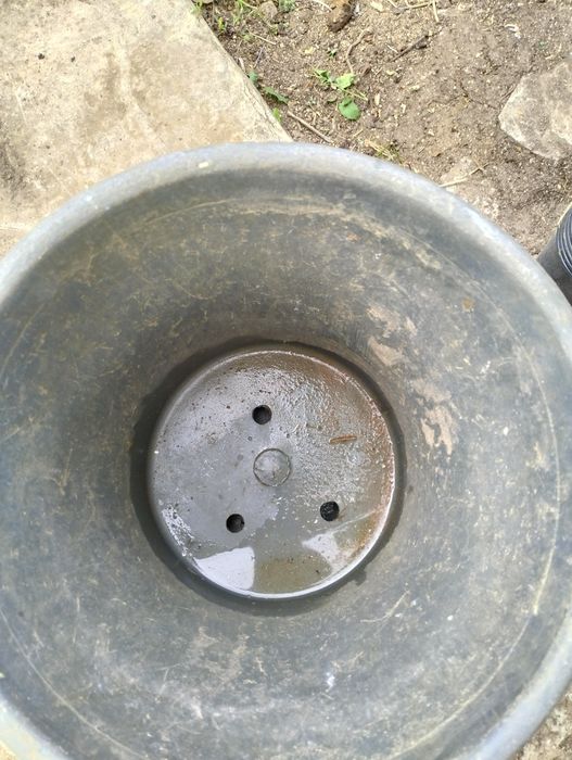 Кофички,саксии  за разсад