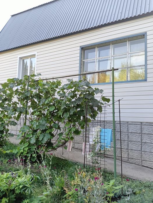 продам дачу дачи умз за тарханкой