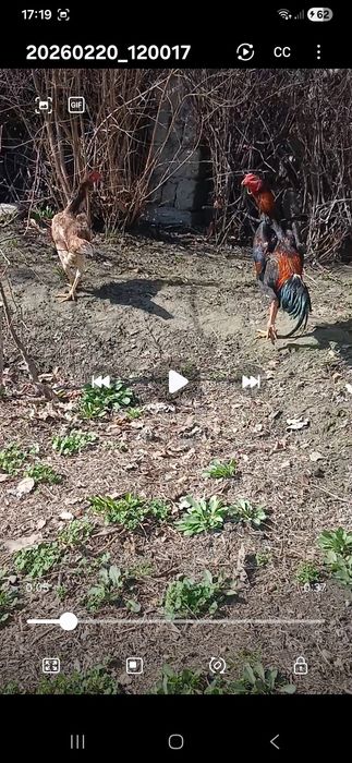 Жужа сотилади манзил