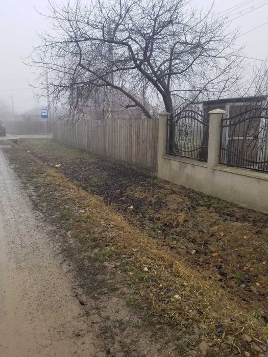 Teren de vanzare, persoana fizica, 600mp Aroneanu Dorobant Iasi