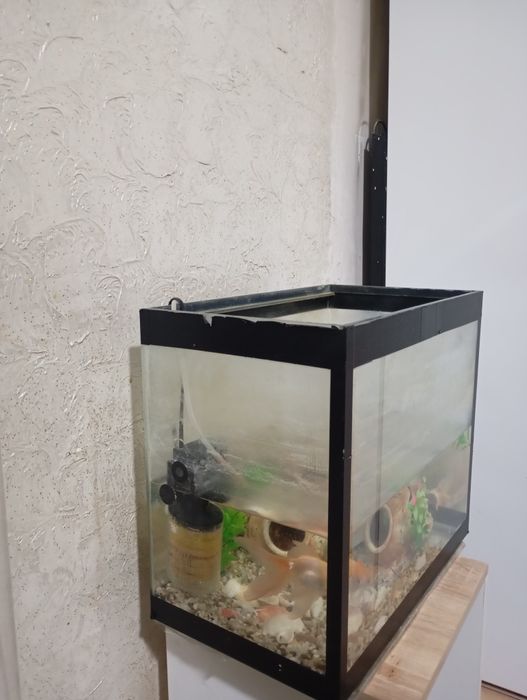 Аквариум с рыбками