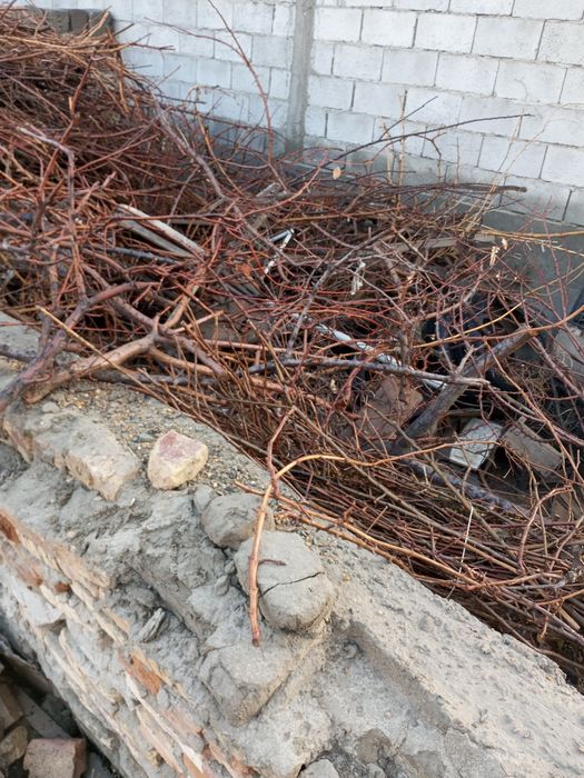 Tandir uy uchun o'tin