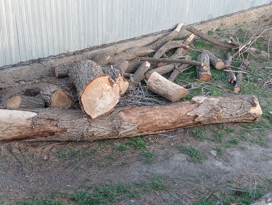 Дрова карагач самовывоз