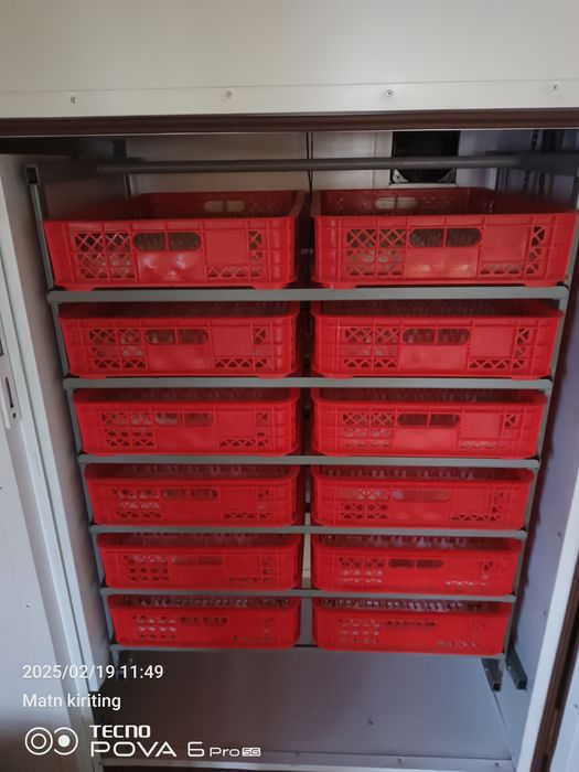 Inkubatir. EKBOKIS. Aftomat 1056