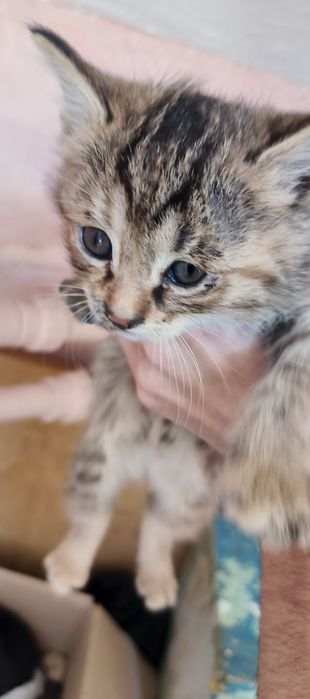 Нашли очаровательных малышей