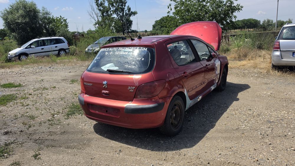 Vand Peugeot  307