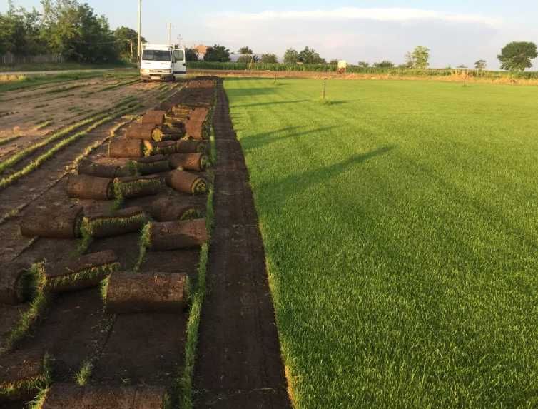 Gazon Rulou Natural – Soluția pentru o Grădină Perfectă