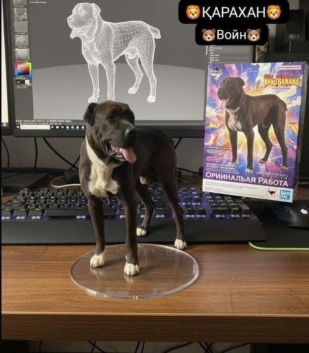 Вязка Сао Алабай Тобет