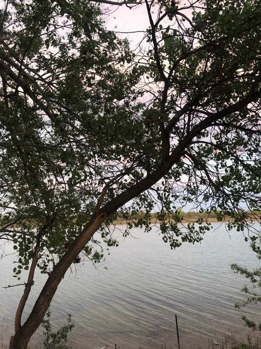 Дачный участок  в районе Мелиоратор