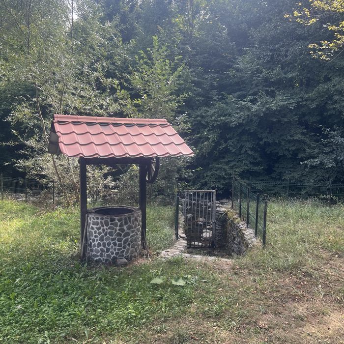 Casa de vacanta in zona turistica Valea Avrigului