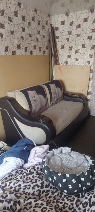 Отдам даром диван.