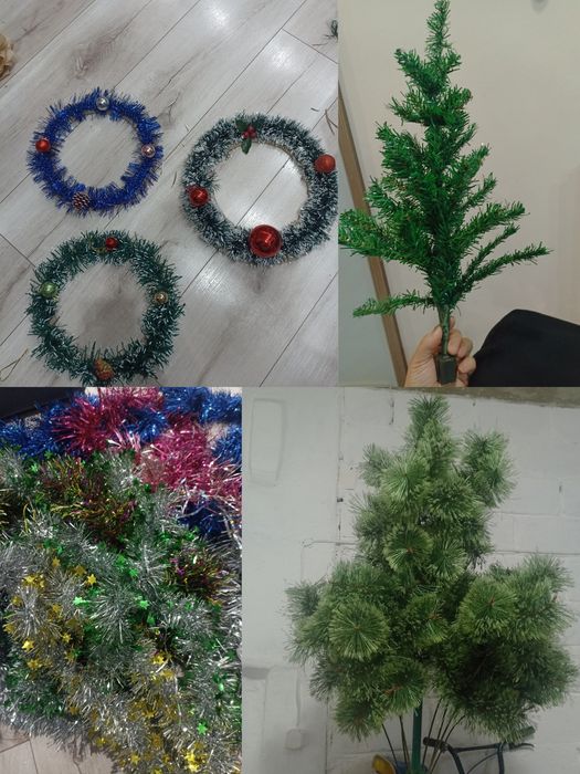 Шишки ёлочные,Отростки декабриста