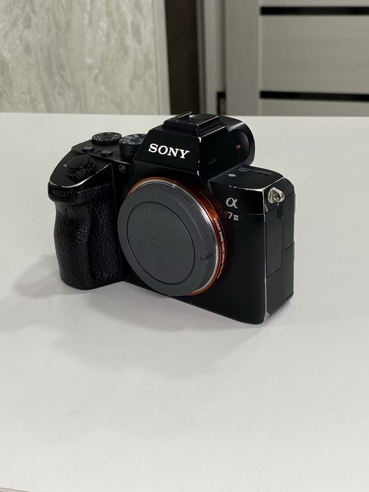 Sony A7III // a7 3