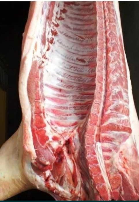 Свинина по 2000 тг кг