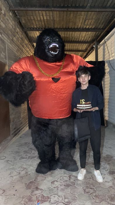 Аниматор  КИНГ КОНГ