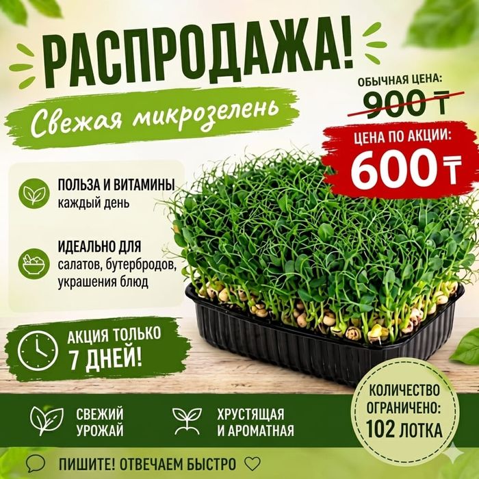 Горох микрозелень