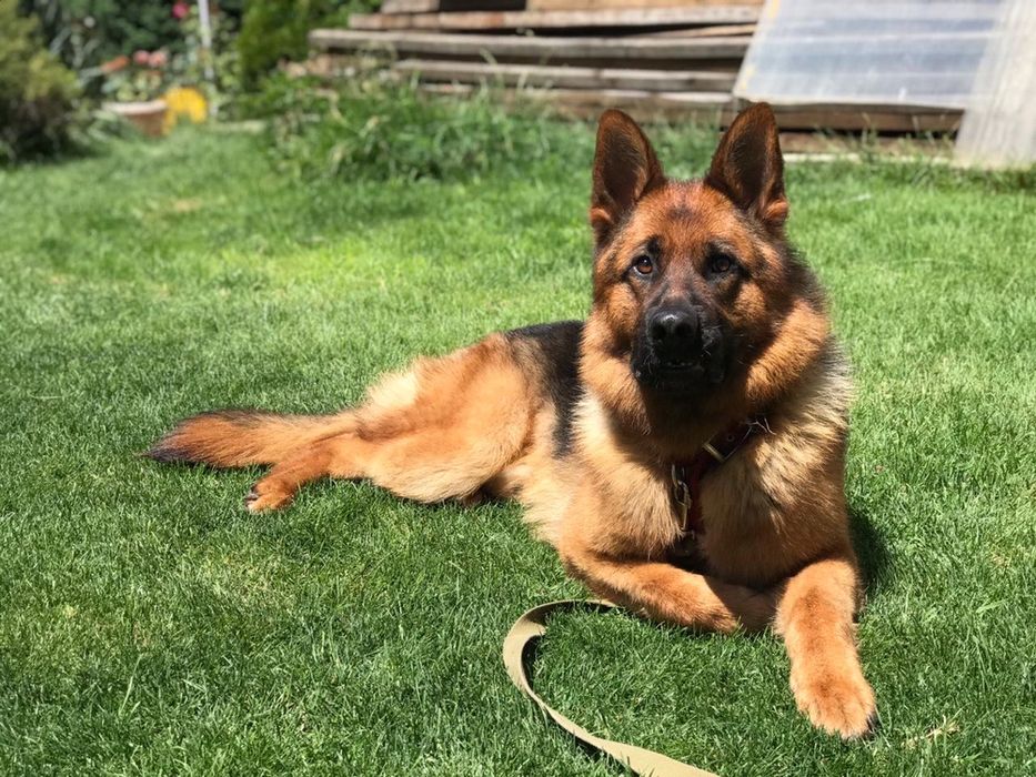 Мальчик ищет девочку