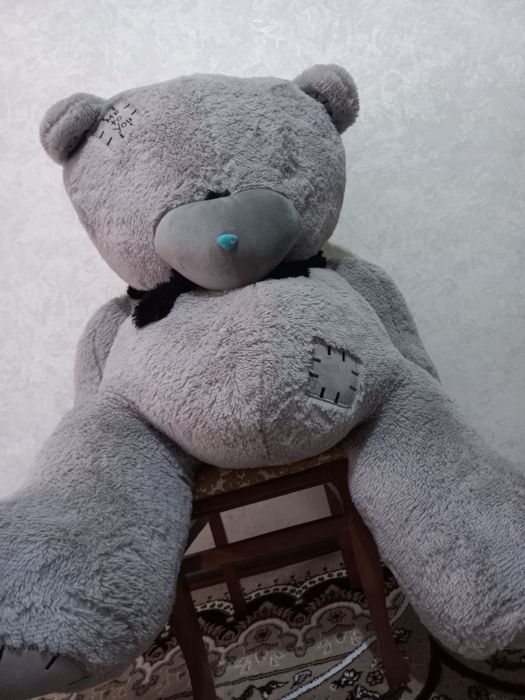 .         Teddy ayiq